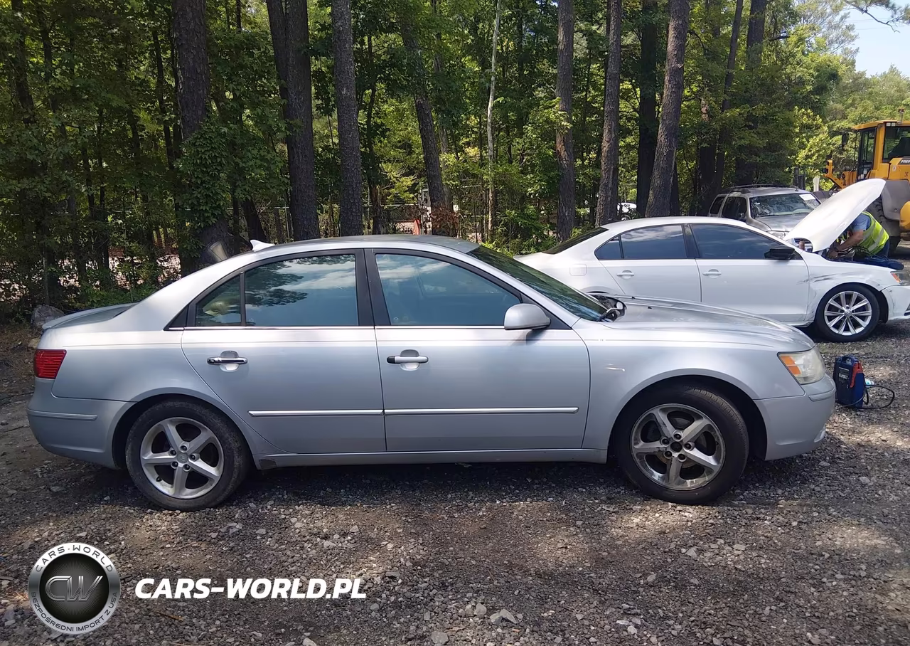 2010 Hyundai Sonata Se VIN:5NPEU4AC8AH625602 - 13