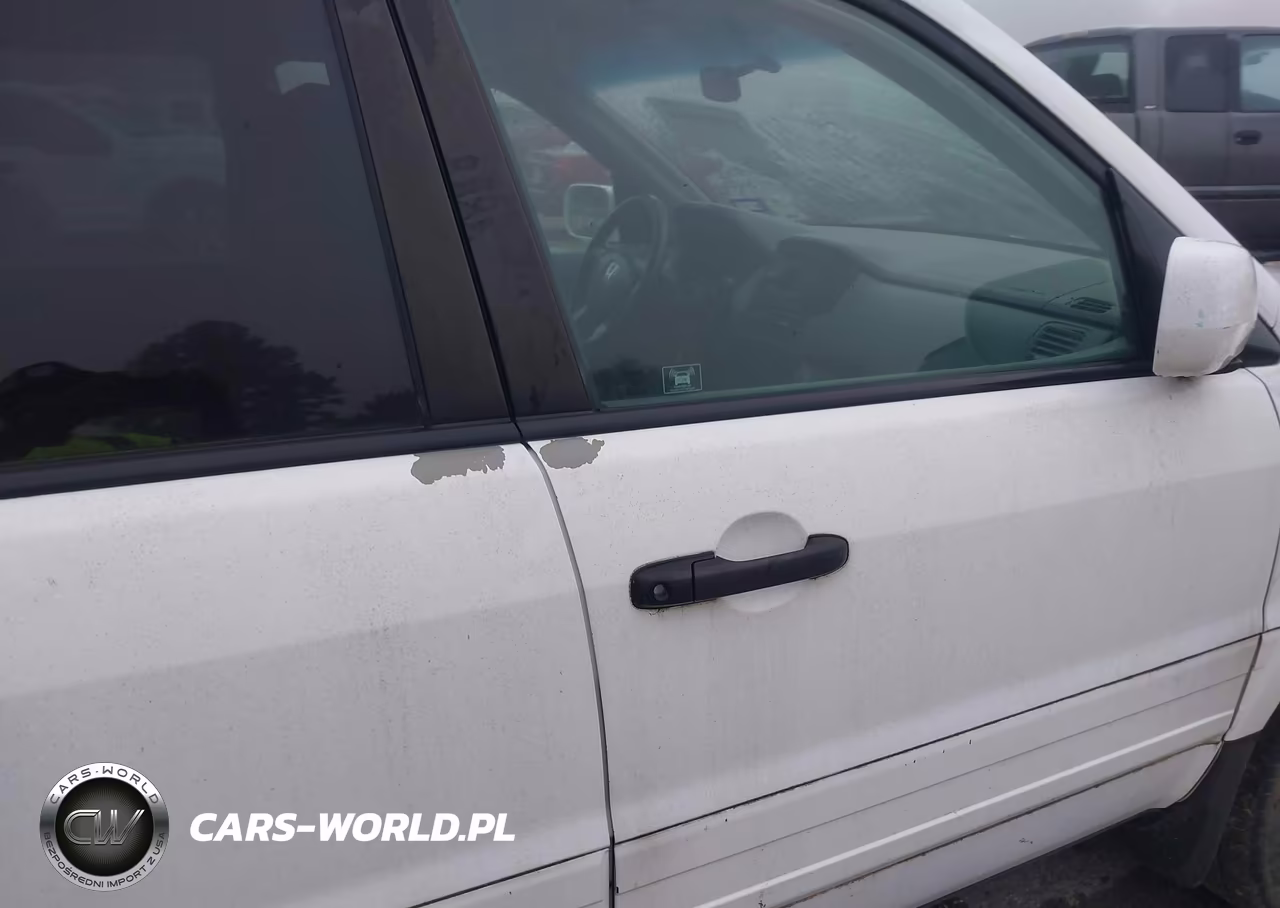 2004 Honda Pilot Ex-L VIN:5FNYF185X4B003924 - 13
