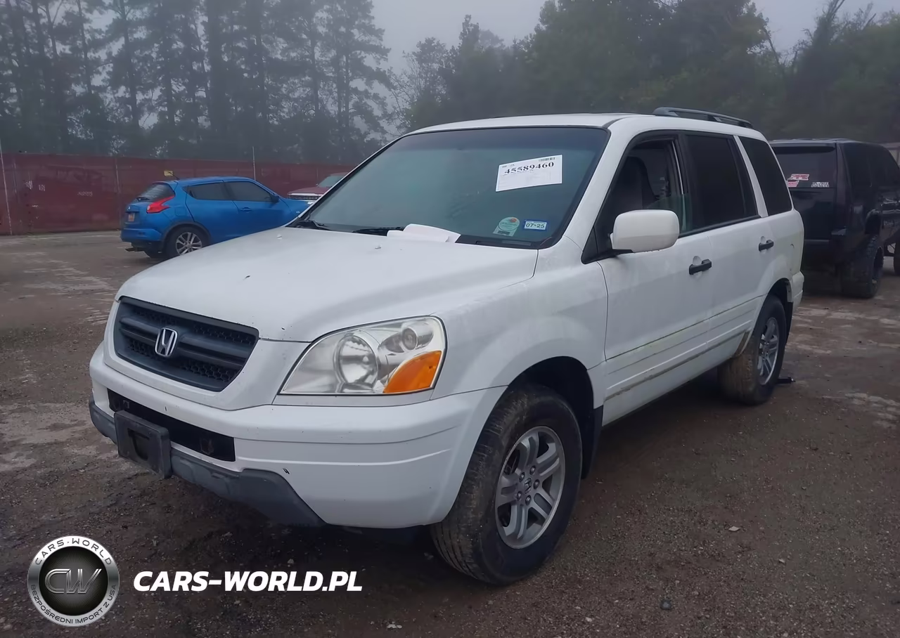 2004 Honda Pilot Ex-L VIN:5FNYF185X4B003924 - 2