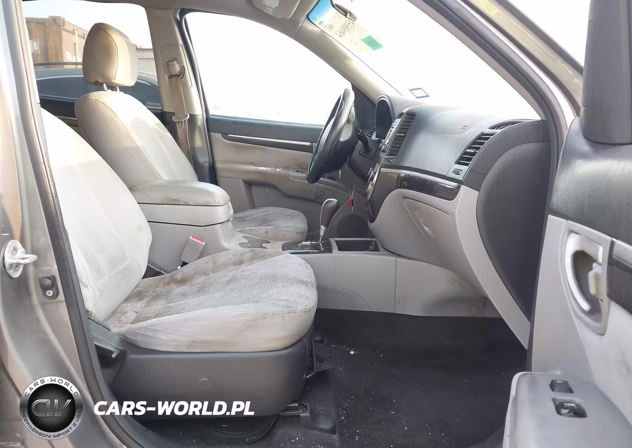 2009 Hyundai Santa Fe Gls VIN:5NMSG13D59H264868 - 5