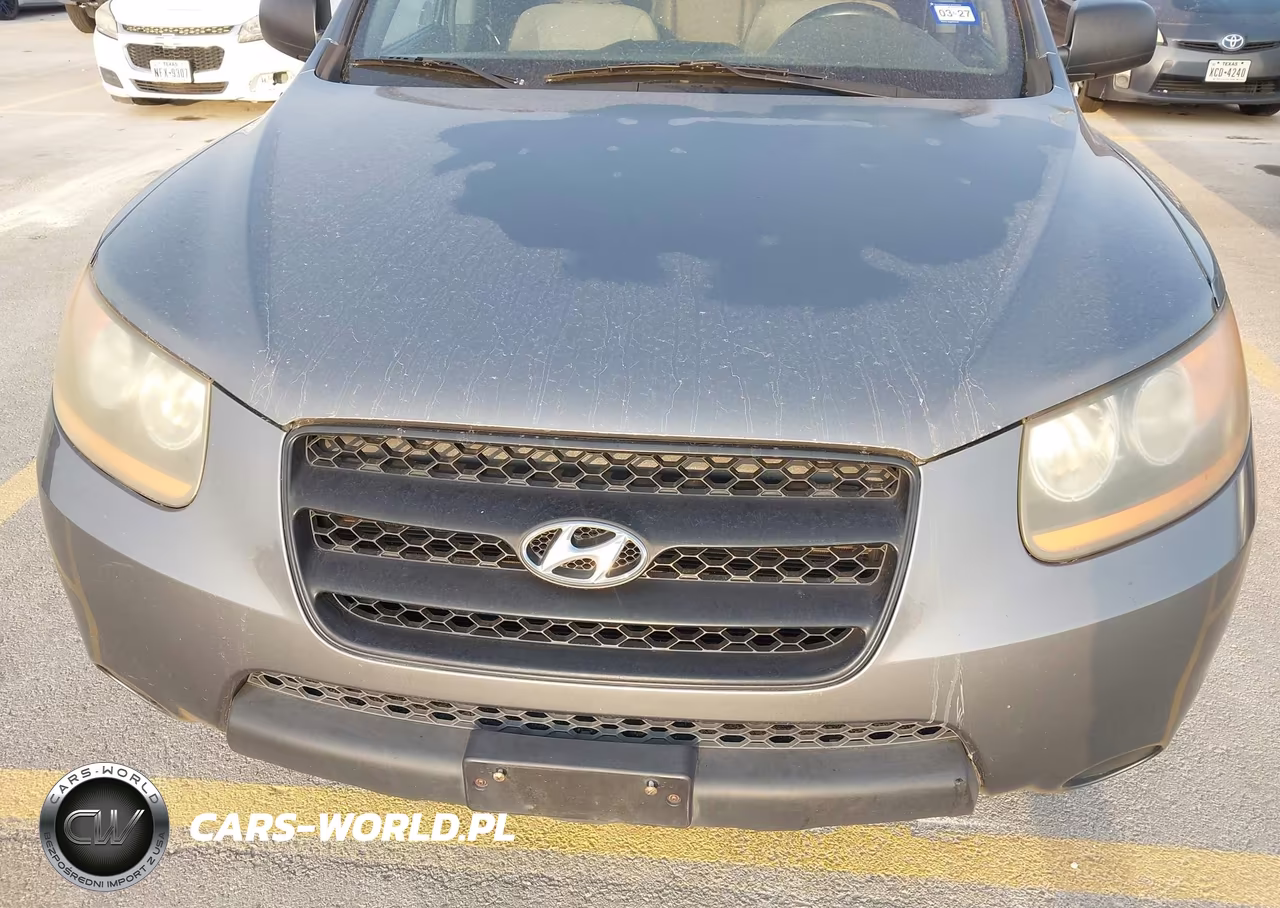 2009 Hyundai Santa Fe Gls VIN:5NMSG13D59H264868 - 6