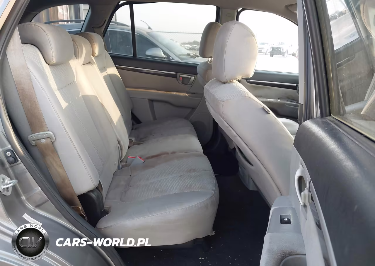 2009 Hyundai Santa Fe Gls VIN:5NMSG13D59H264868 - 8