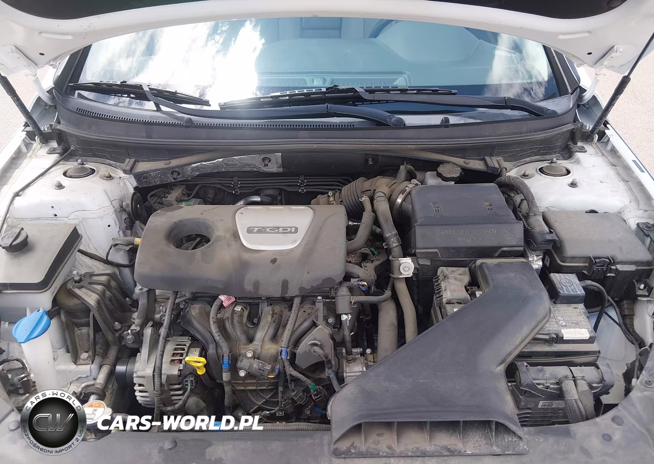 2019 Hyundai Sonata Eco VIN:5NPE24AA4KH775292 - 10