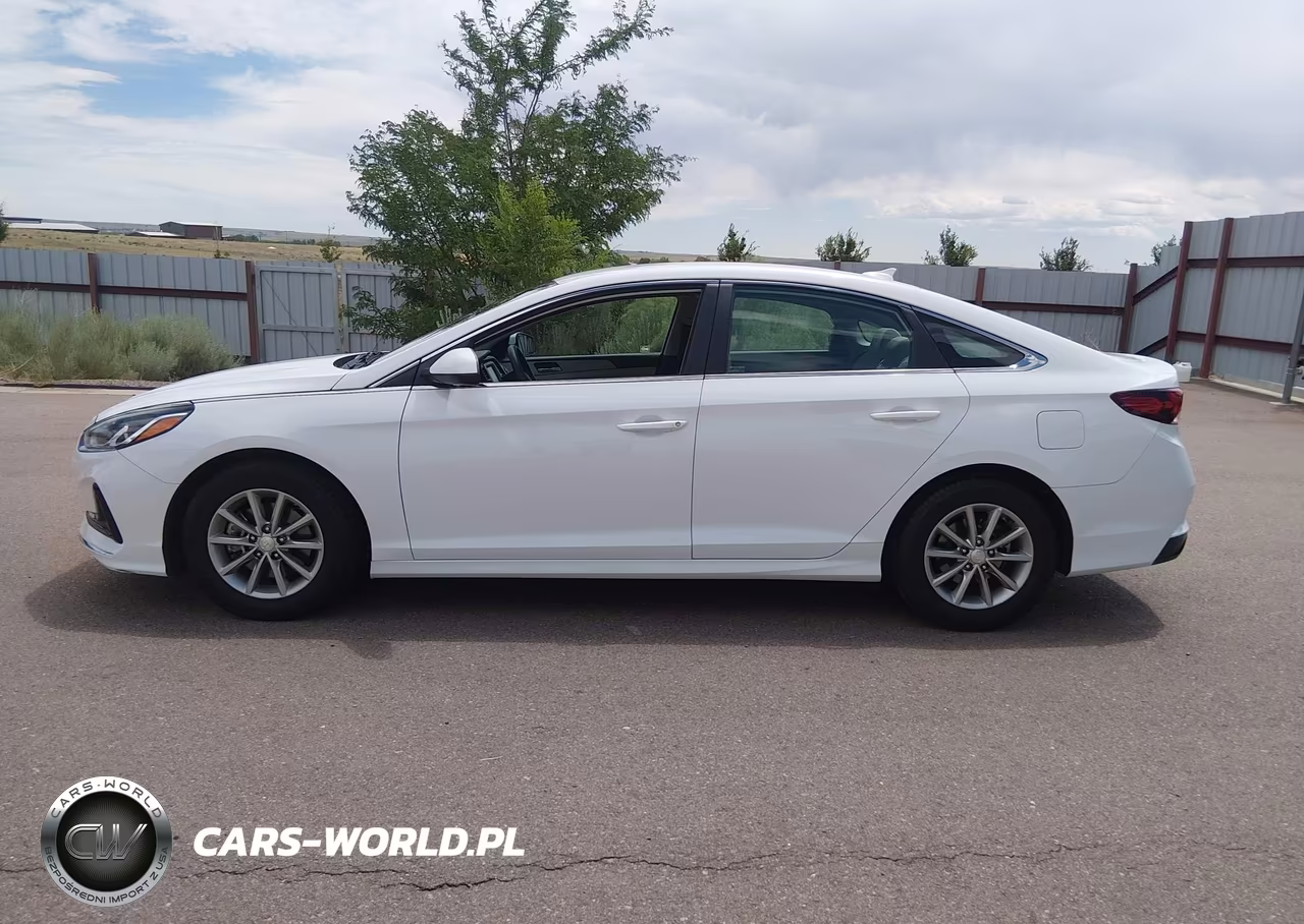 2019 Hyundai Sonata Eco VIN:5NPE24AA4KH775292 - 19