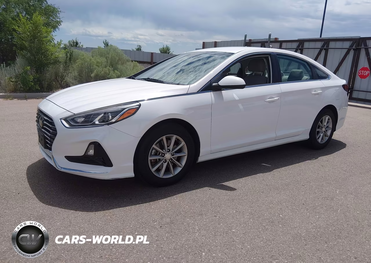 2019 Hyundai Sonata Eco VIN:5NPE24AA4KH775292 - 2
