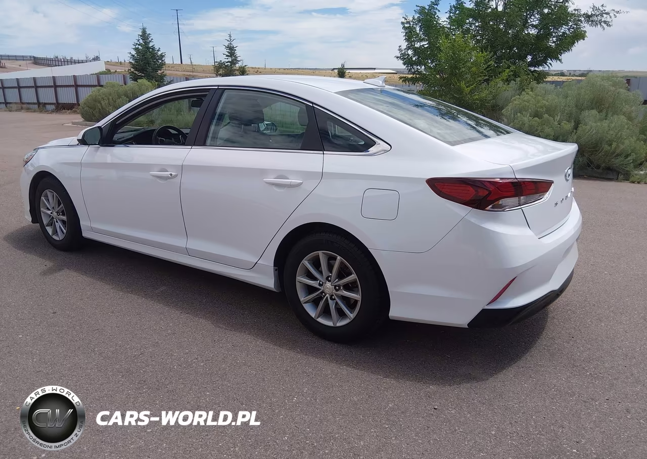 2019 Hyundai Sonata Eco VIN:5NPE24AA4KH775292 - 3
