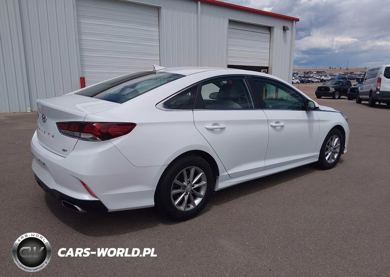 2019 Hyundai Sonata Eco VIN:5NPE24AA4KH775292 - 4