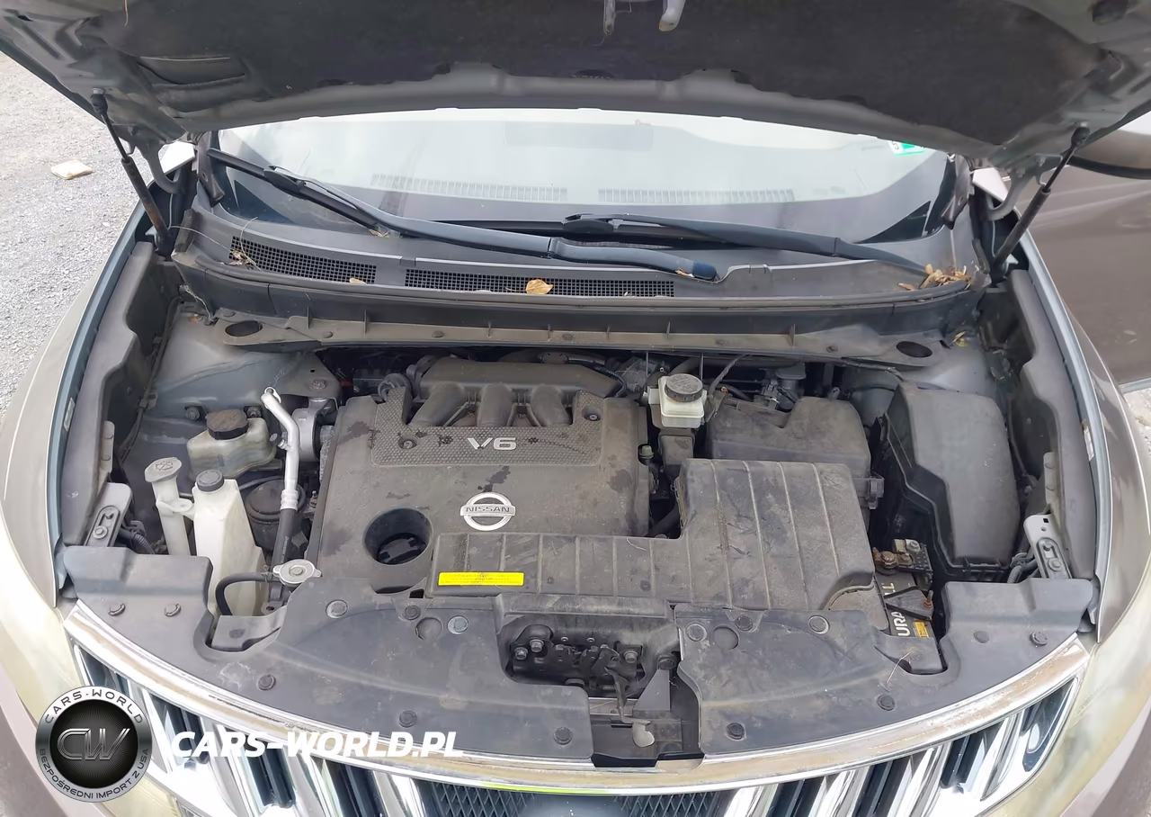 2009 Nissan Murano Le VIN:JN8AZ18W09W161469 - 10