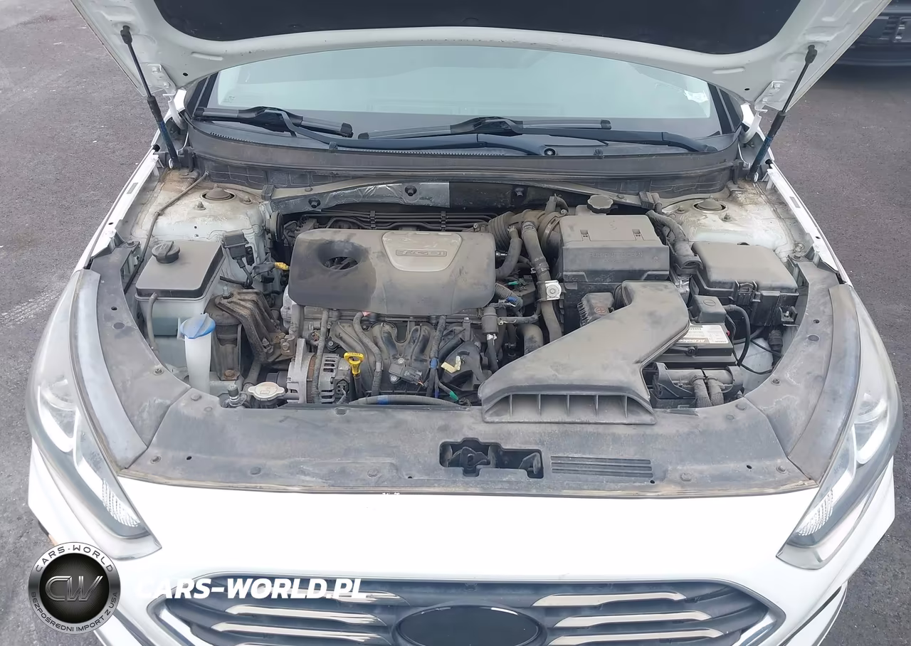2018 Hyundai Sonata Eco VIN:5NPE24AA2JH682981 - 10