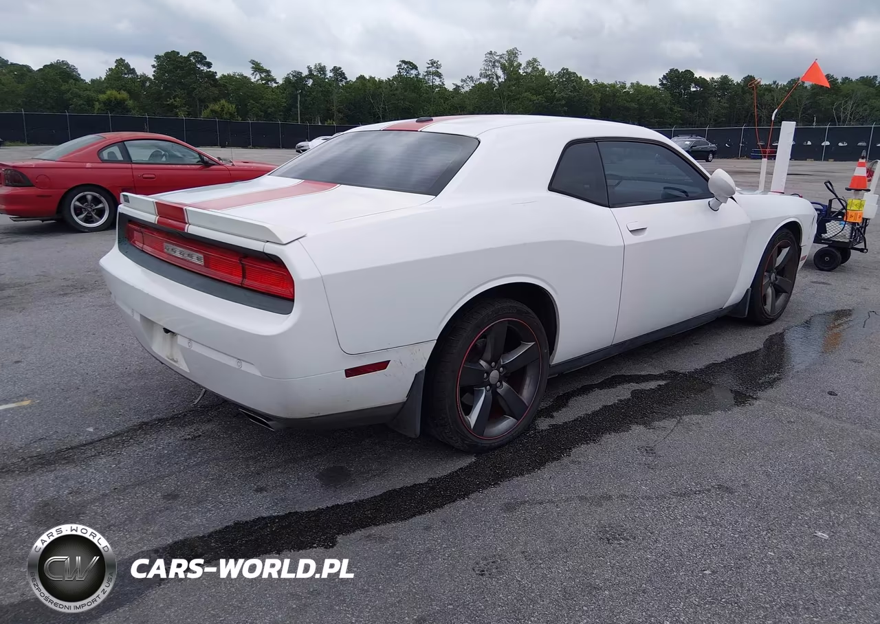 2014 Dodge Challenger Rallye Redline VIN:2C3CDYAG7EH184033 - 4