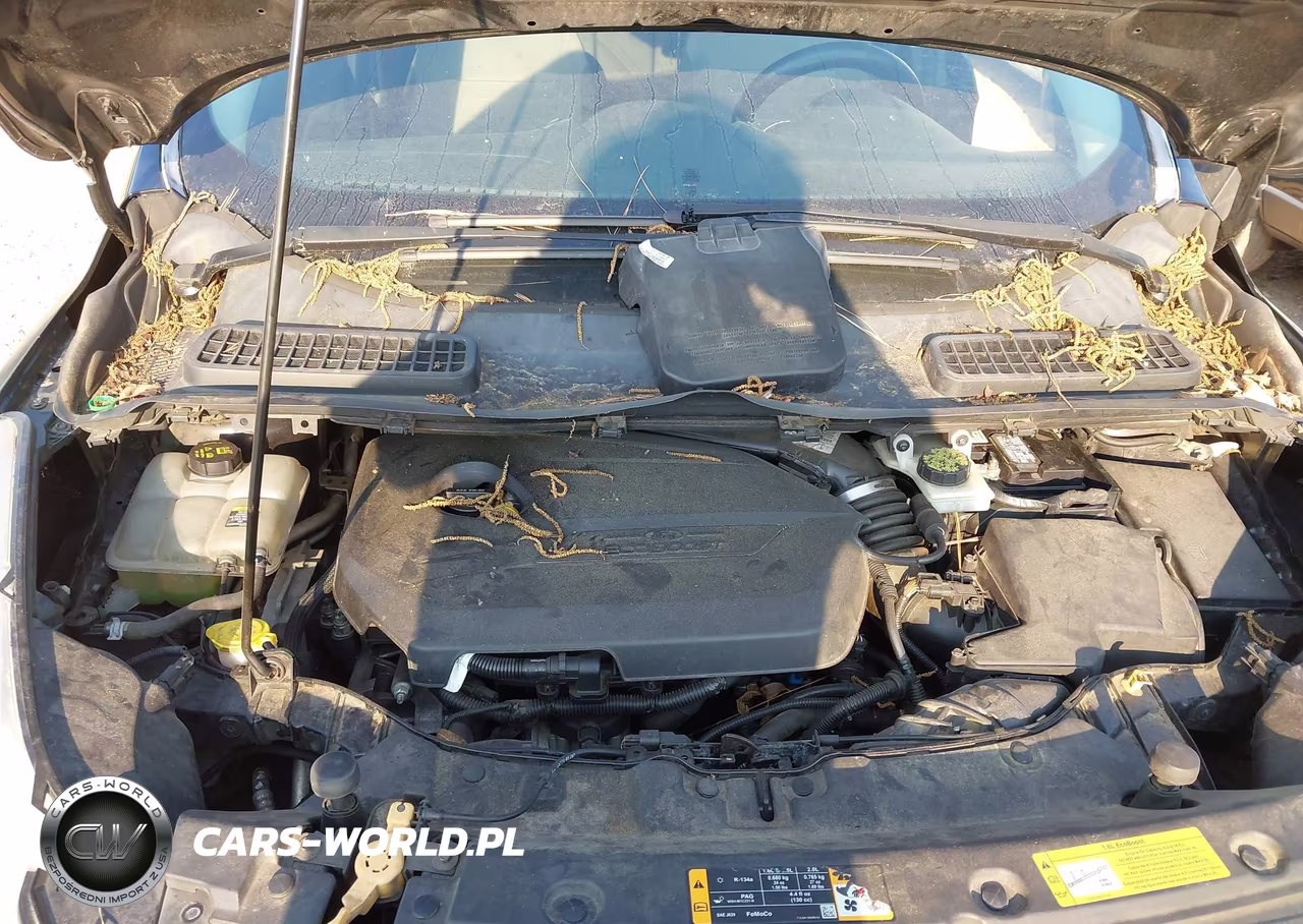 2013 Ford Escape Se VIN:1FMCU0GX6DUB65338 - 10