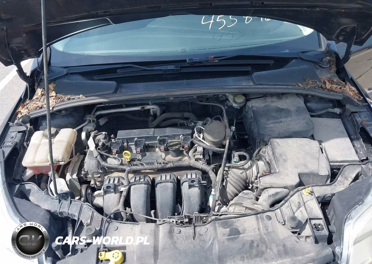 2014 Ford Focus Se VIN:1FADP3F20EL105897 - 10