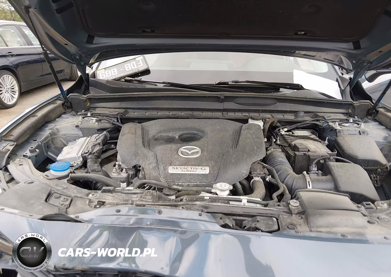 2023 Mazda Cx-50 2.5 Turbo Meridian Edition VIN:7MMVABXY4PN144173 - 10