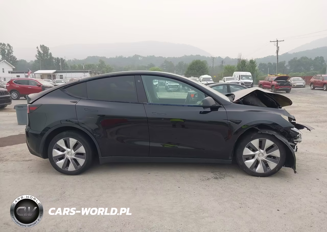 2021 Tesla Model Y Long Range Dual Motor All-Wheel Drive VIN:5YJYGDEE4MF196381 - 12