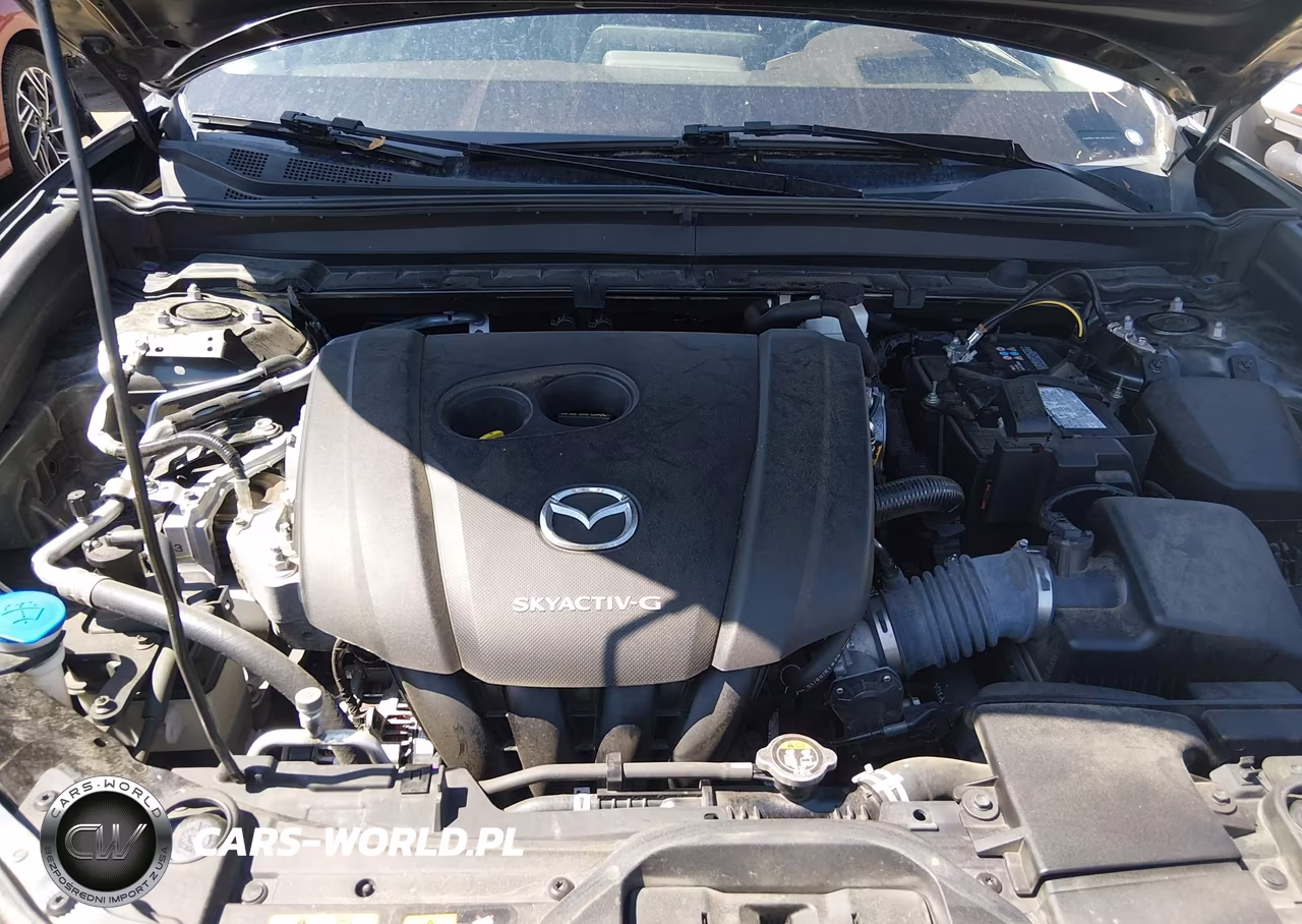 2020 Mazda Cx-30 Premium Package VIN:3MVDMBEM7LM134212 - 10
