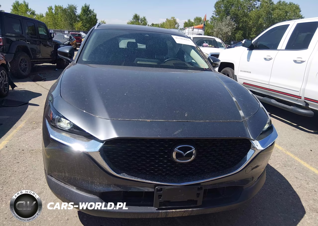 2020 Mazda Cx-30 Premium Package VIN:3MVDMBEM7LM134212 - 12