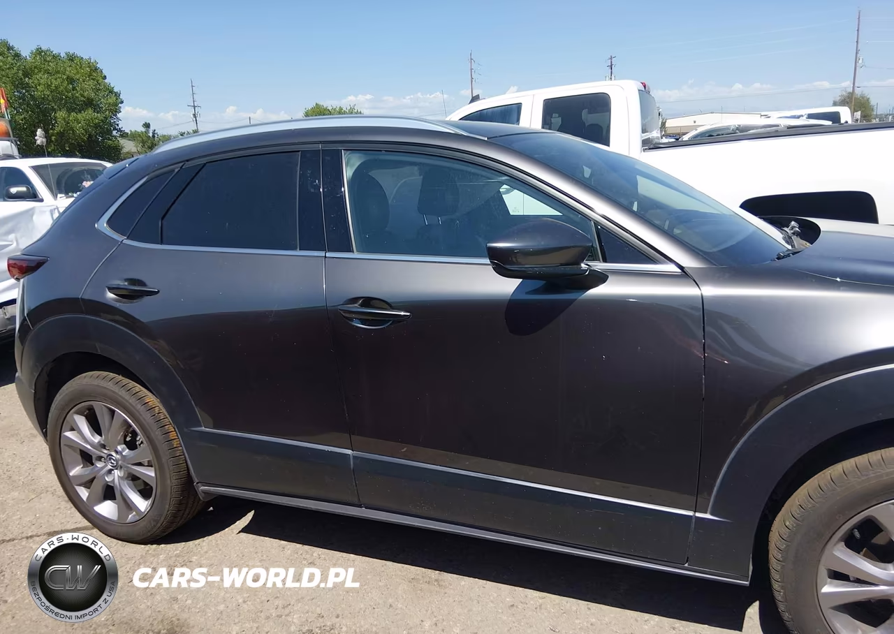 2020 Mazda Cx-30 Premium Package VIN:3MVDMBEM7LM134212 - 13