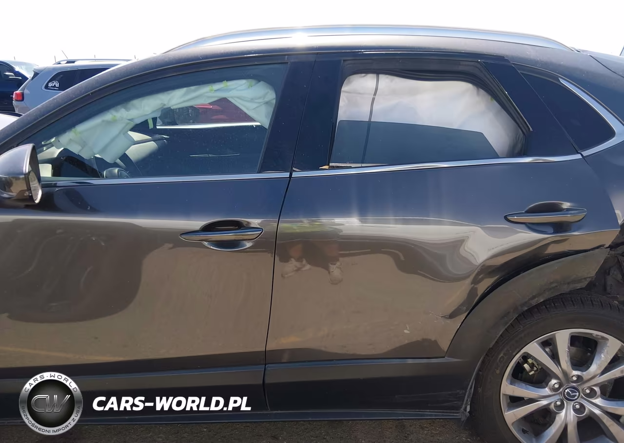 2020 Mazda Cx-30 Premium Package VIN:3MVDMBEM7LM134212 - 14