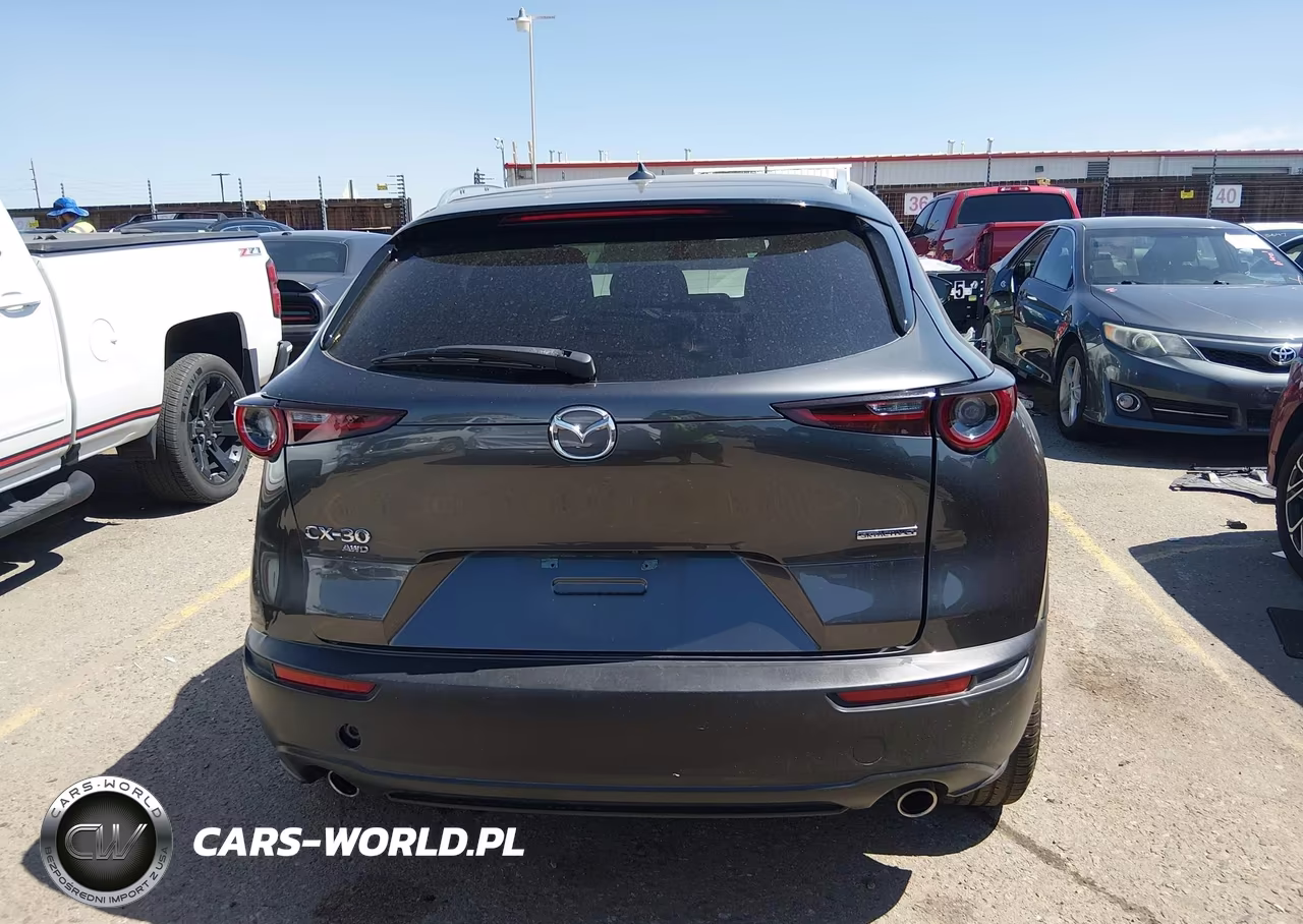 2020 Mazda Cx-30 Premium Package VIN:3MVDMBEM7LM134212 - 16