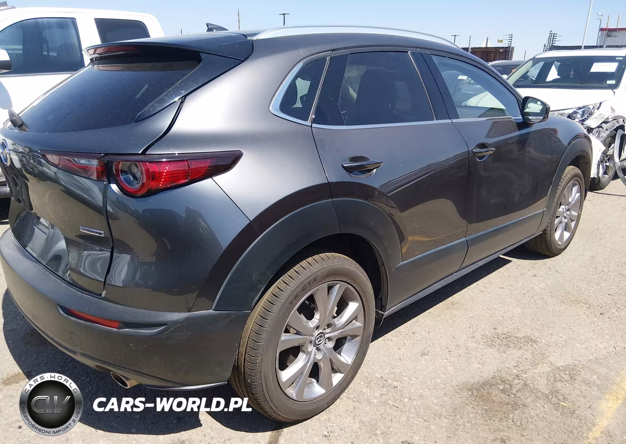 2020 Mazda Cx-30 Premium Package VIN:3MVDMBEM7LM134212 - 4