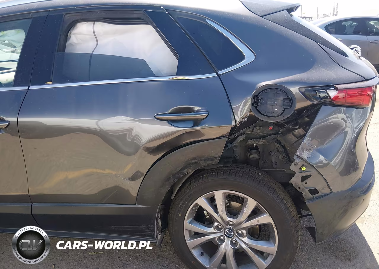2020 Mazda Cx-30 Premium Package VIN:3MVDMBEM7LM134212 - 6