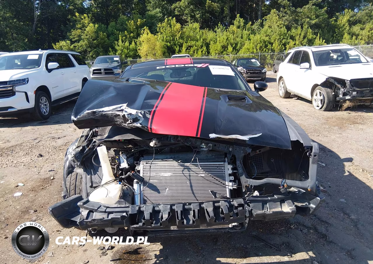 2014 Dodge Challenger Rallye Redline VIN:2C3CDYAG5EH201945 - 13