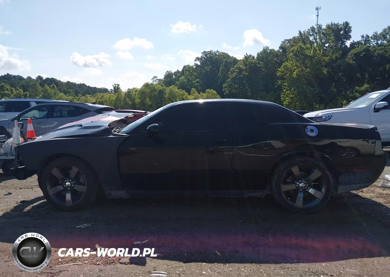 2014 Dodge Challenger Rallye Redline VIN:2C3CDYAG5EH201945 - 15