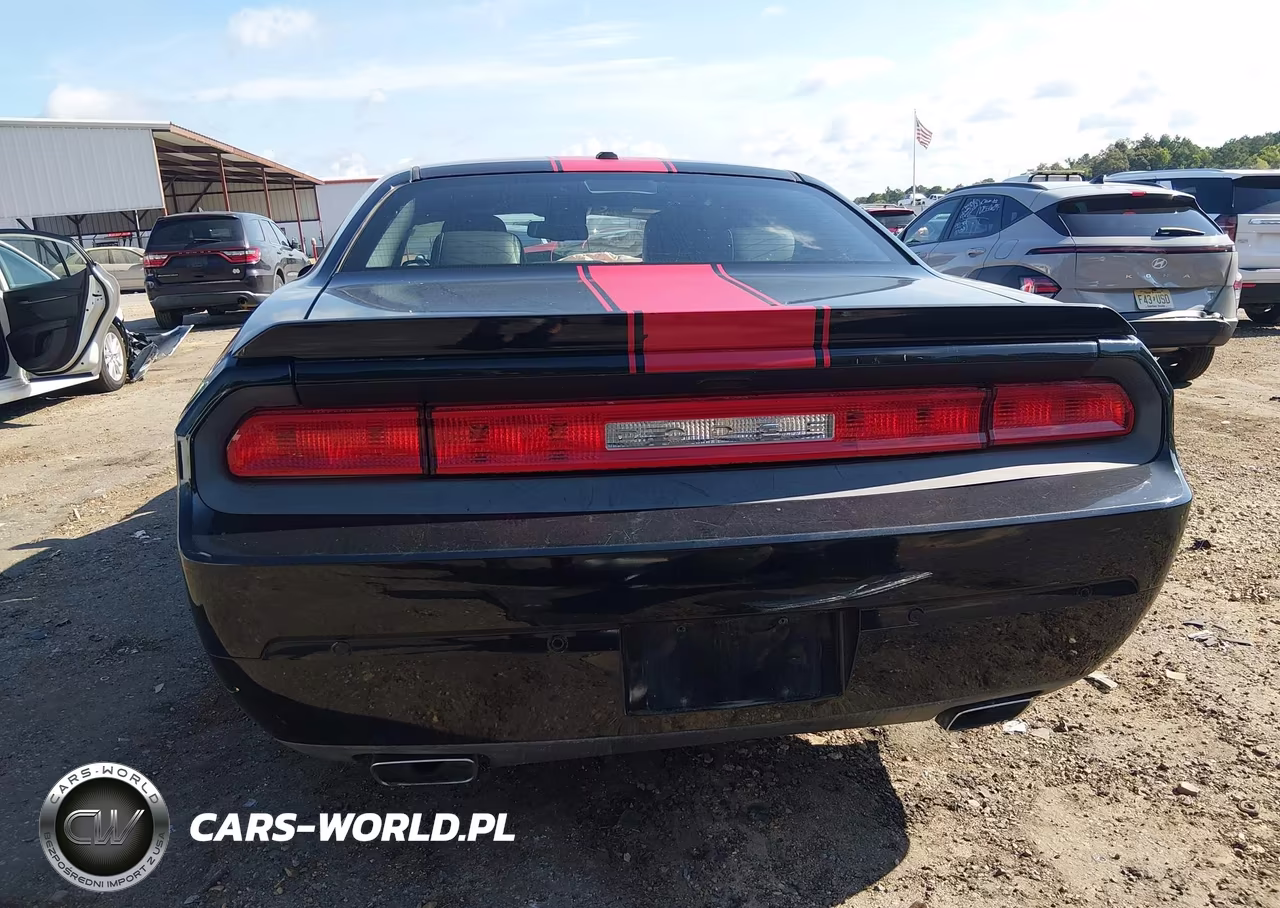 2014 Dodge Challenger Rallye Redline VIN:2C3CDYAG5EH201945 - 17