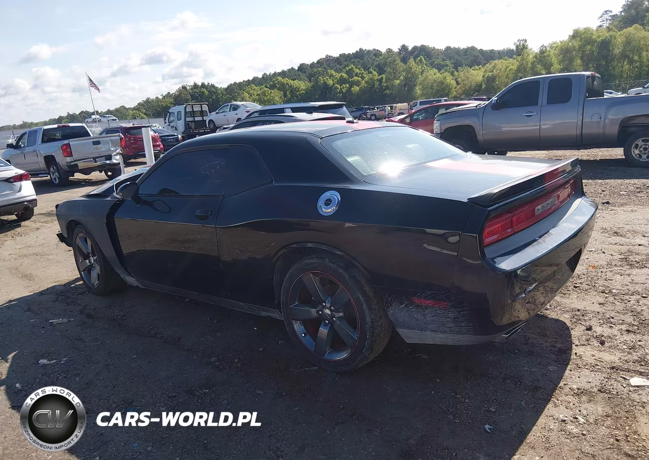 2014 Dodge Challenger Rallye Redline VIN:2C3CDYAG5EH201945 - 3