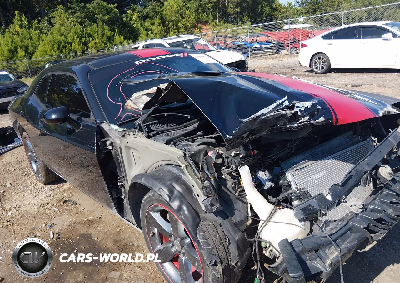 2014 Dodge Challenger Rallye Redline VIN:2C3CDYAG5EH201945 - 6