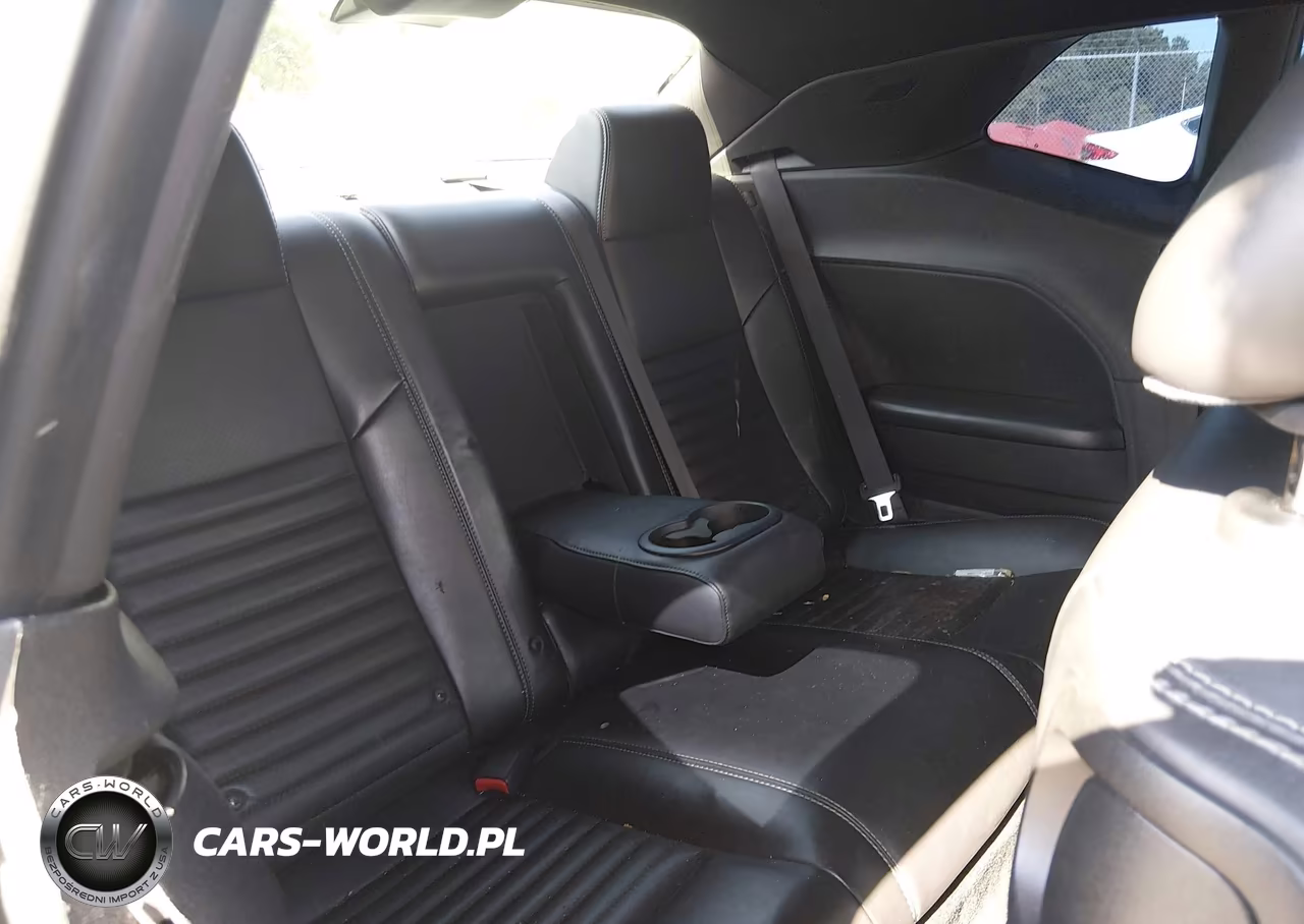 2014 Dodge Challenger Rallye Redline VIN:2C3CDYAG5EH201945 - 8