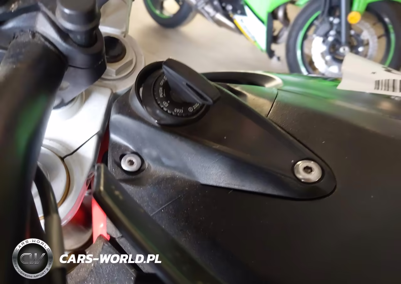 2020 Aprilia Dorsoduro VIN:ZD4KBU000LS000345 - 11