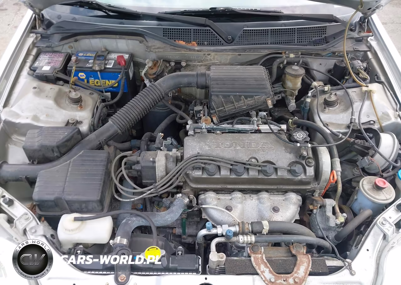 1999 Honda Civic Lx VIN:1HGEJ6671XL016261 - 10