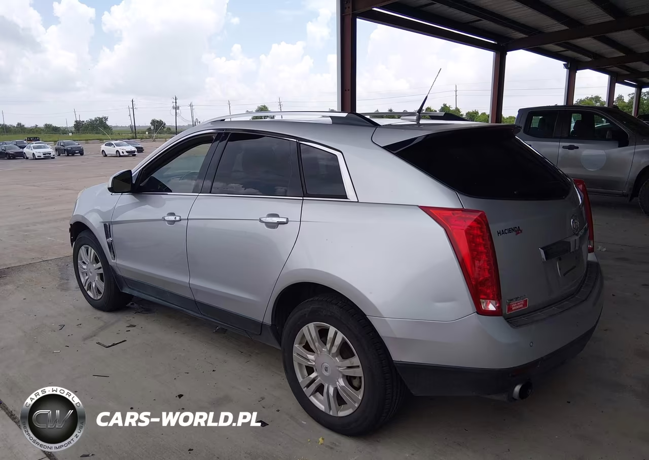 2010 Cadillac Srx Luxury Collection VIN:3GYFNAEY6AS554244 - 3