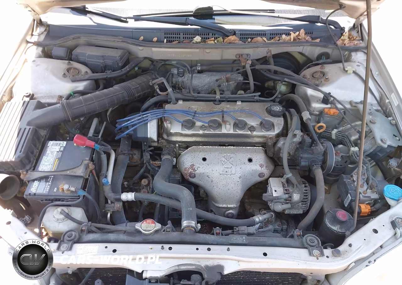 1999 Honda Accord Ex VIN:JHMCG5654XC029288 - 10