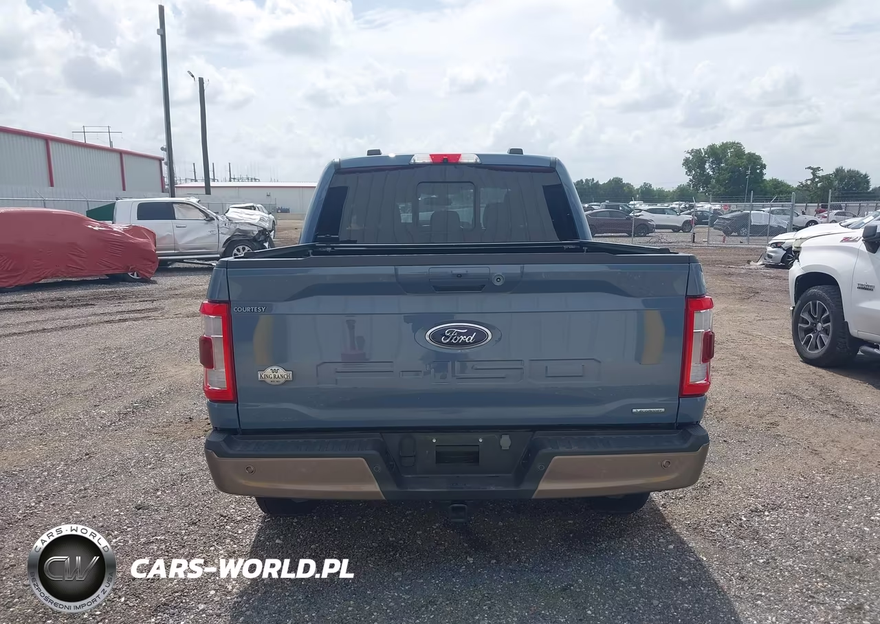 2023 Ford F-150 King Ranch VIN:1FTFW1E86PFA61275 - 16