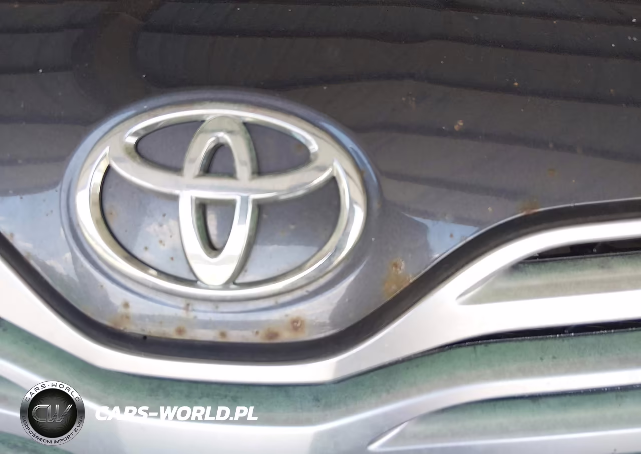 2009 Toyota Venza VIN:4T3ZE11A29U006090 - 6