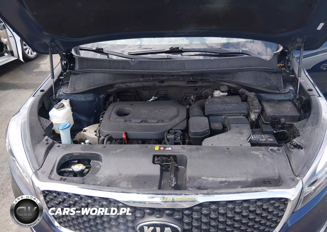 2018 Kia Sorento 2.4L Lx VIN:5XYPG4A31JG352283 - 10