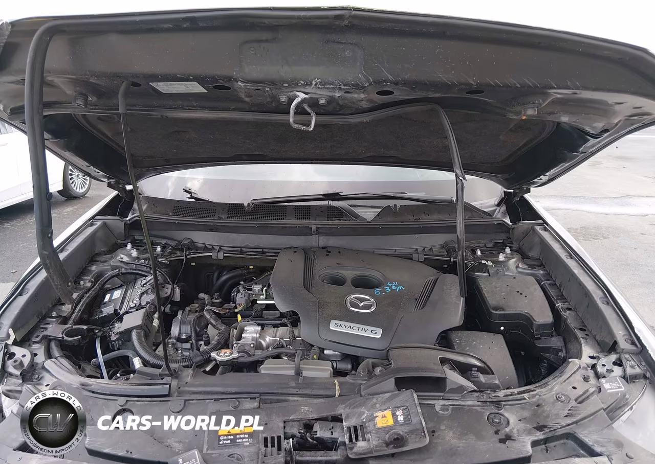 2020 Mazda Cx-9 Sport VIN:JM3TCABY3L0406802 - 10