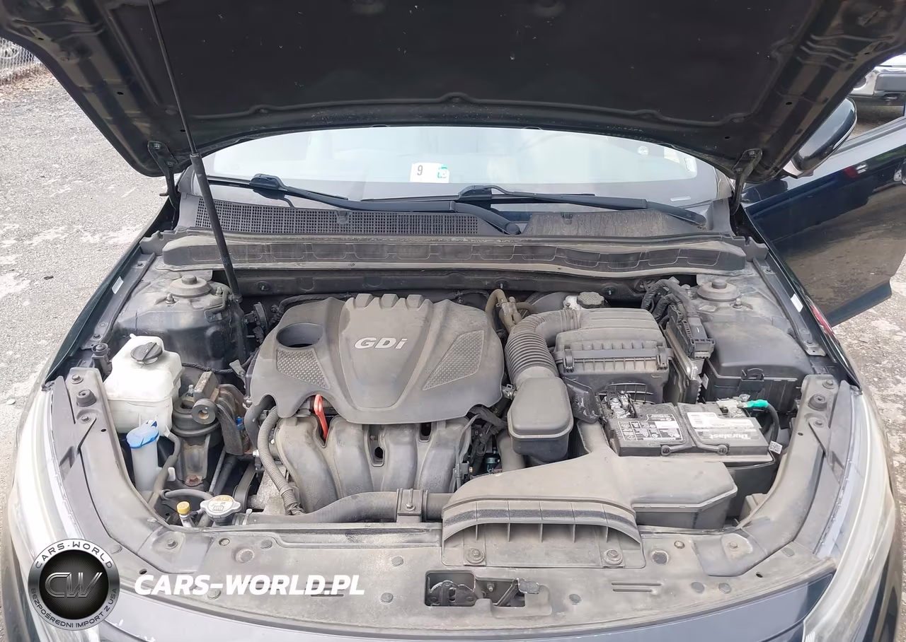 2015 Kia Optima Lx VIN:5XXGM4A76FG463189 - 10