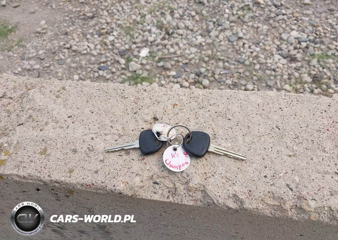 2006 Hyundai Sonata Gls V6-Lx V6 VIN:5NPEU46F56H009558 - 11