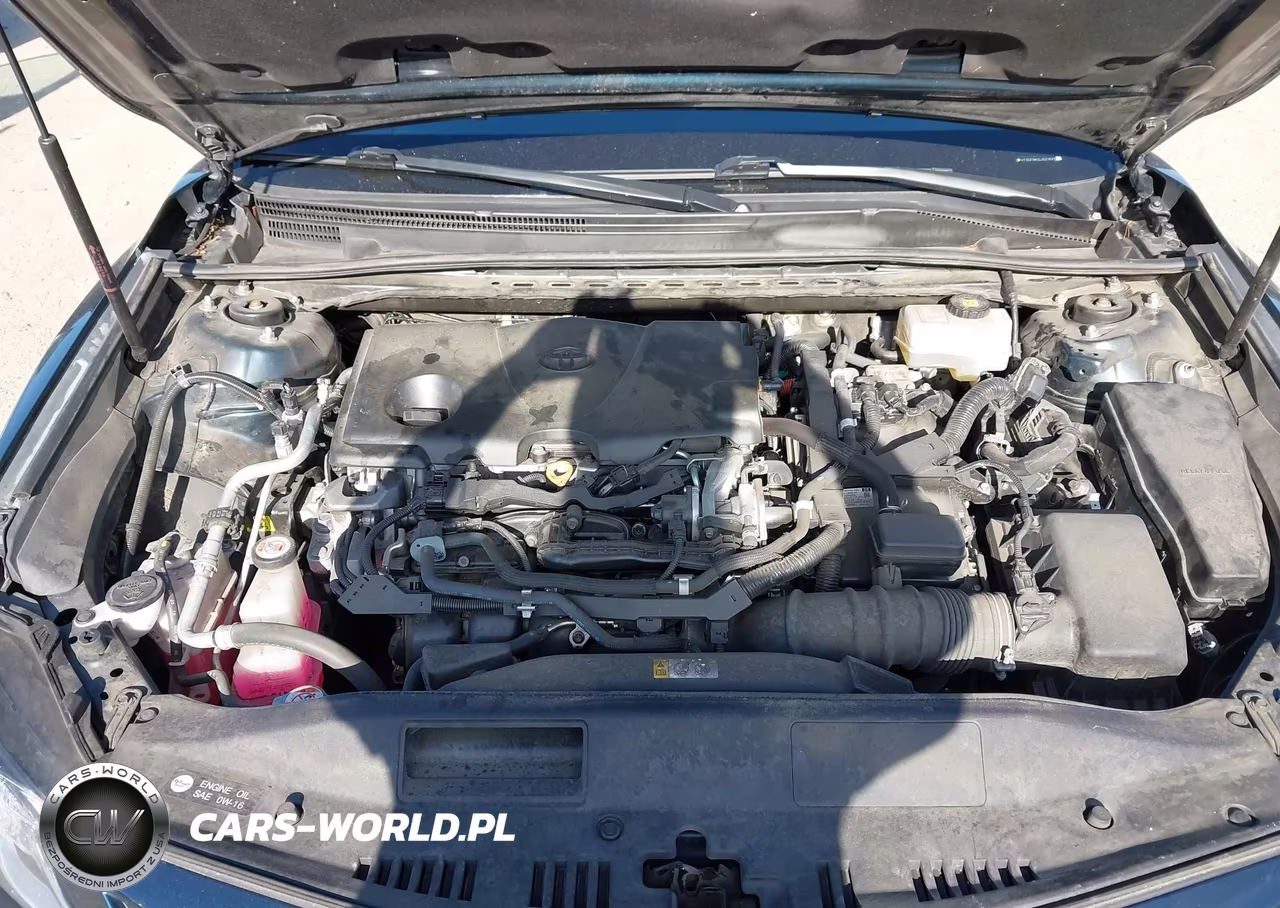2020 Toyota Camry Se Hybrid VIN:4T1G31AK2LU521631 - 10