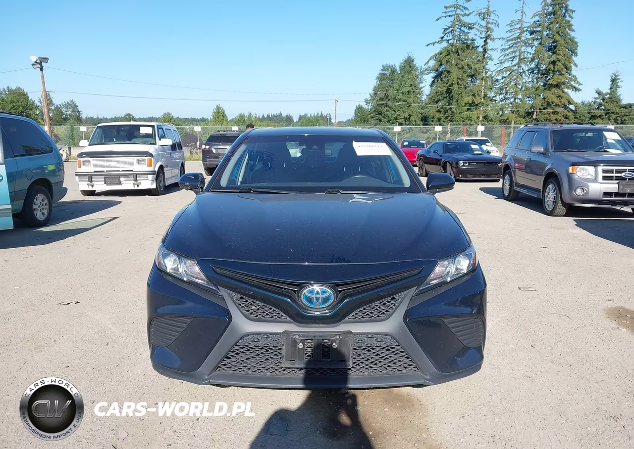 2020 Toyota Camry Se Hybrid VIN:4T1G31AK2LU521631 - 13