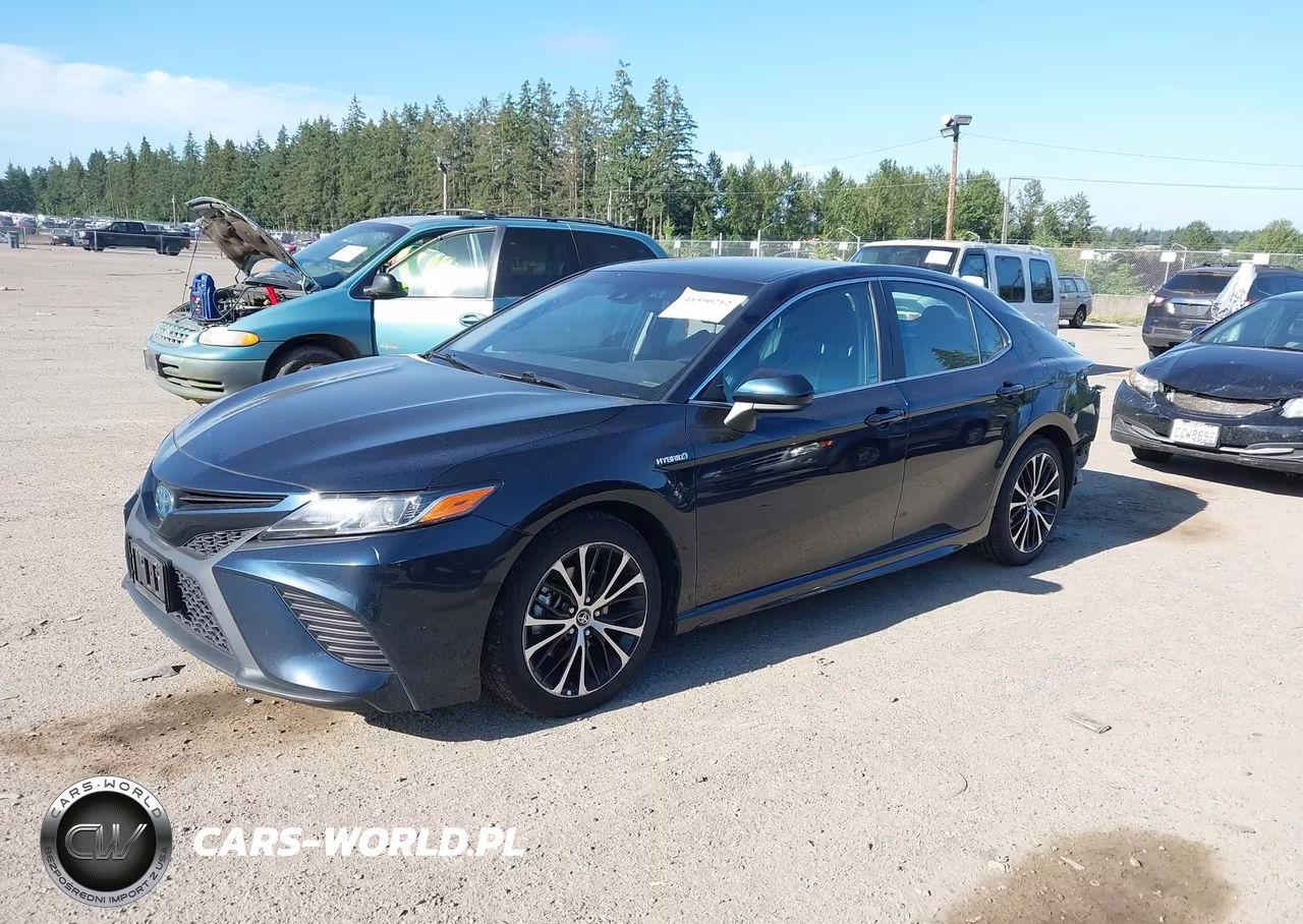 2020 Toyota Camry Se Hybrid VIN:4T1G31AK2LU521631 - 2