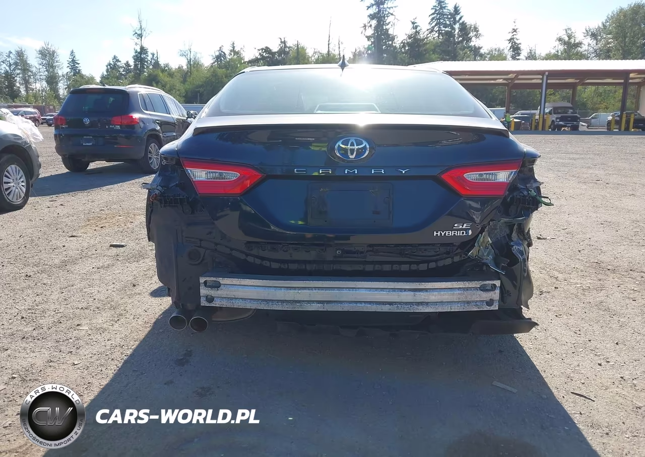 2020 Toyota Camry Se Hybrid VIN:4T1G31AK2LU521631 - 6