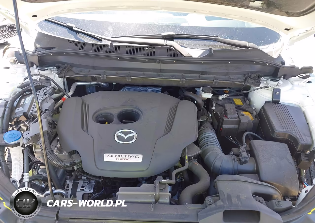 2025 Mazda Cx-5 2.5 Carbon Turbo VIN:JM3KFBAY5S0656518 - 10