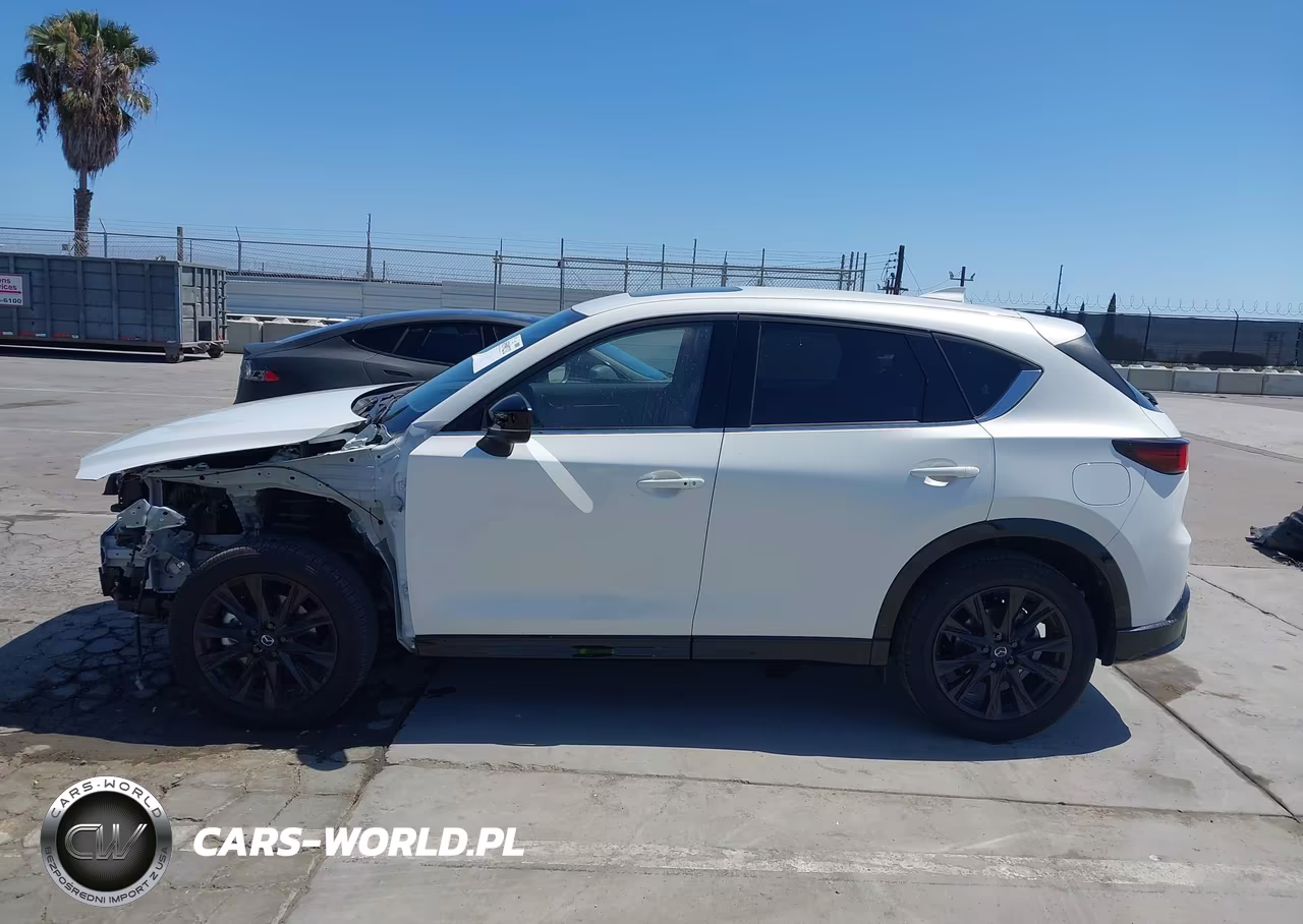 2025 Mazda Cx-5 2.5 Carbon Turbo VIN:JM3KFBAY5S0656518 - 15