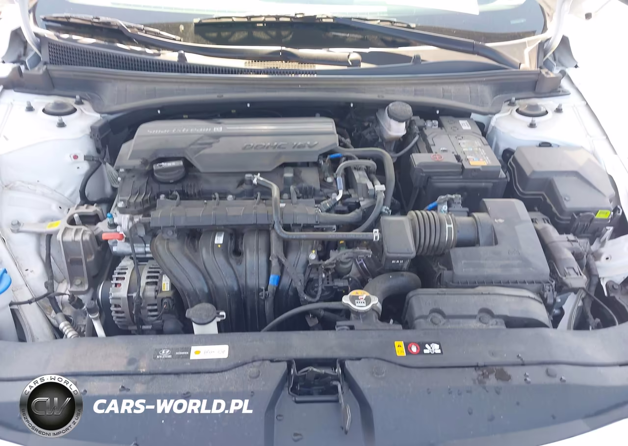 2024 Hyundai Elantra Sel VIN:KMHLS4DGXRU671036 - 10