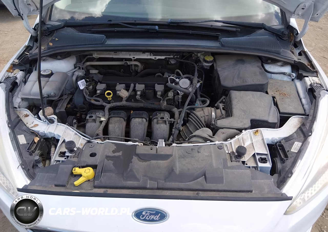 2016 Ford Focus Se VIN:1FADP3K23GL372296 - 10