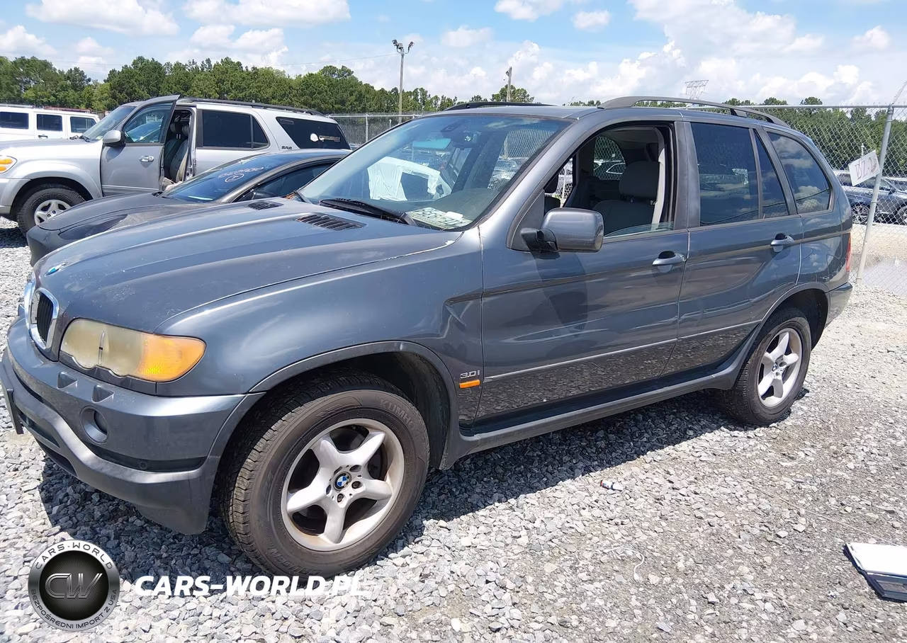 2003 BMW X5 3.0I VIN:5UXFA535X3LV90141 - 2